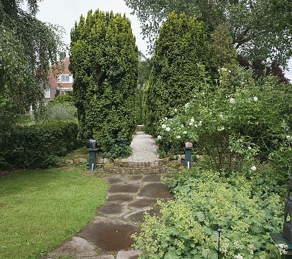 Bomen en tuin